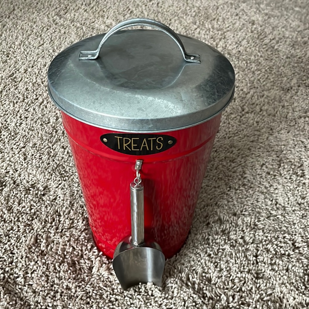 Dog treat bucket with scoop